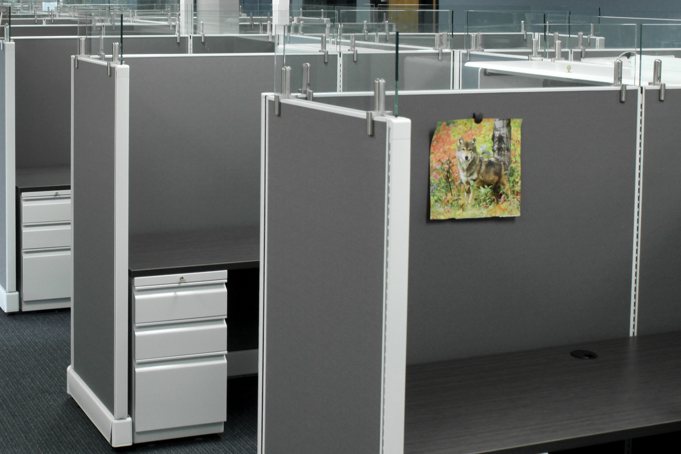 Glass panels allow for better light flow in the office space.