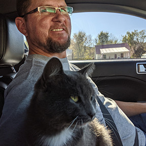 Car Cat